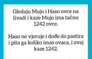 VIC OD KOJEG ĆETE PLAKATI OD SMIJEHA: Gledaju Mujo i Haso ovce… VIC OD KOJEG ĆETE PLAKATI OD SMIJEHA: Gledaju Mujo i Haso ovce… - featured image
