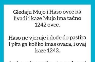 VIC OD KOJEG ĆETE PLAKATI OD SMIJEHA: Gledaju Mujo i Haso ovce… VIC OD KOJEG ĆETE PLAKATI OD SMIJEHA: Gledaju Mujo i Haso ovce… - featured image