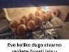Evo koliko dugo stvarno možete čuvati jaja u frižideru – odgovor će vas iznenaditi! Evo koliko dugo stvarno možete čuvati jaja u frižideru – odgovor će vas iznenaditi! - featured image
