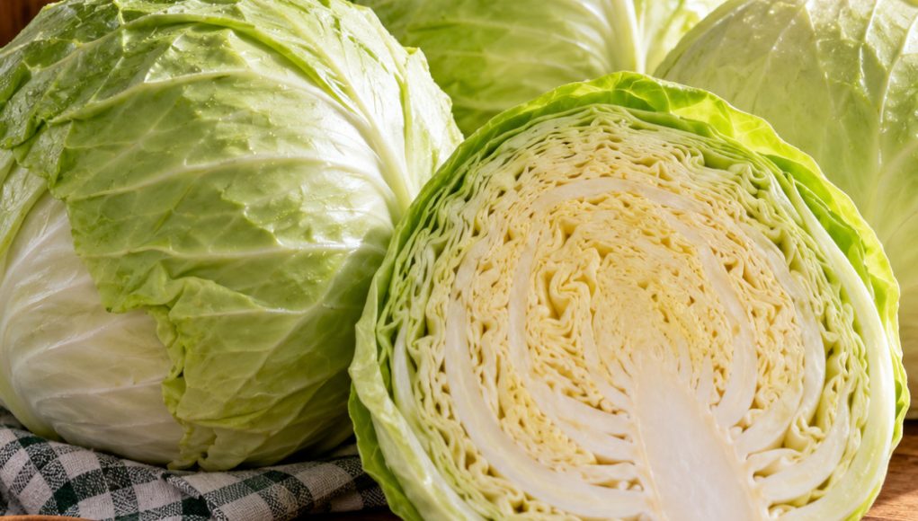 Birate pogrešnu sortu: Evo koji kupus je najbolji za kišeljenje, idealnih dimenzija i teksture - featured image