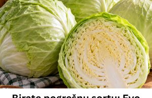 Birate pogrešnu sortu: Evo koji kupus je najbolji za kišeljenje, idealnih dimenzija i teksture Birate pogrešnu sortu: Evo koji kupus je najbolji za kišeljenje, idealnih dimenzija i teksture - featured image