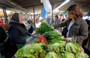 Pojavio se uznemirujući izveštaj: Bežite od ovog povrća kao đavo od tamjana Pojavio se uznemirujući izveštaj: Bežite od ovog povrća kao đavo od tamjana - featured image