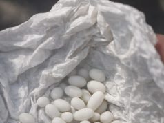 Pronašla sam čudne bijele kuglice u ruksaku svog 15-godišnjeg sina: on kaže da su to samo bomboni, ali mu ne vjerujem Pronašla sam čudne bijele kuglice u ruksaku svog 15-godišnjeg sina: on kaže da su to samo bomboni, ali mu ne vjerujem - featured image