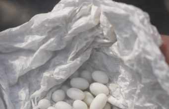 Pronašla sam čudne bijele kuglice u ruksaku svog 15-godišnjeg sina: on kaže da su to samo bomboni, ali mu ne vjerujem Pronašla sam čudne bijele kuglice u ruksaku svog 15-godišnjeg sina: on kaže da su to samo bomboni, ali mu ne vjerujem - featured image
