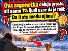 Ova zagonetka deluje prosto, ali samo 1% ljudi uspe da je reši: Da li ste među njima? Ova zagonetka deluje prosto, ali samo 1% ljudi uspe da je reši: Da li ste među njima? - featured image