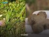 Upozorenje građanima: Više od milion paketića past će s neba, ne smijete ih dirati golim rukama Upozorenje građanima: Više od milion paketića past će s neba, ne smijete ih dirati golim rukama - featured image