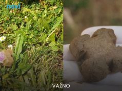 Upozorenje građanima: Više od milion paketića past će s neba, ne smijete ih dirati golim rukama Upozorenje građanima: Više od milion paketića past će s neba, ne smijete ih dirati golim rukama - featured image