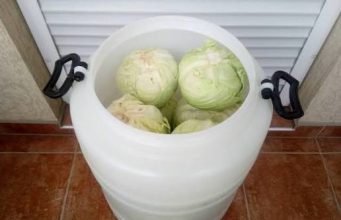 Ako pogriješite datum, sve vam može propasti: Evo kada se tačno kiseli kupus ove godine Ako pogriješite datum, sve vam može propasti: Evo kada se tačno kiseli kupus ove godine - featured image