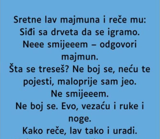 VIC: Majmun i lav - featured image VIC: Majmun i lav - featured image